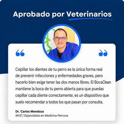 Mordedor Dental 2 en 1