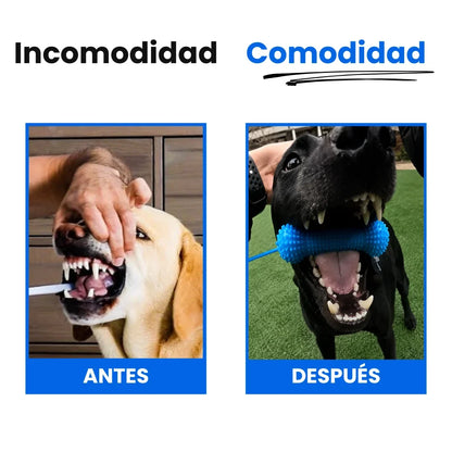 Mordedor Dental 2 en 1