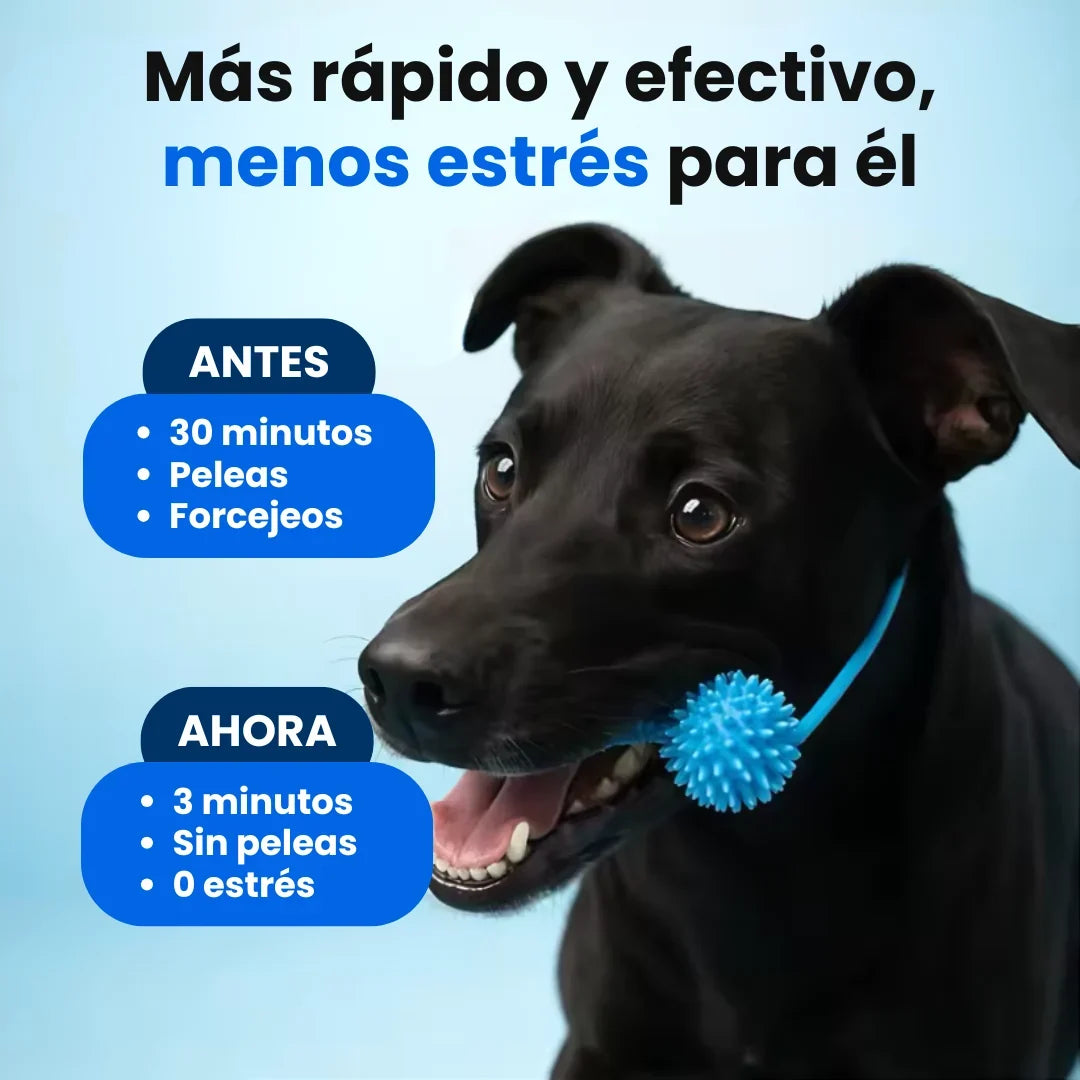 Mordedor Dental 2 en 1