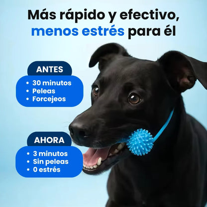 Mordedor Dental 2 en 1