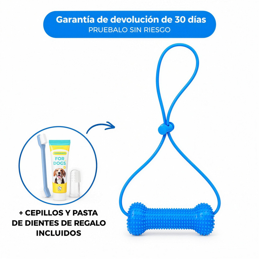 Mordedor Dental 2 en 1